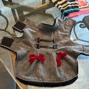 Puppies Beautiful and stunning winter coat